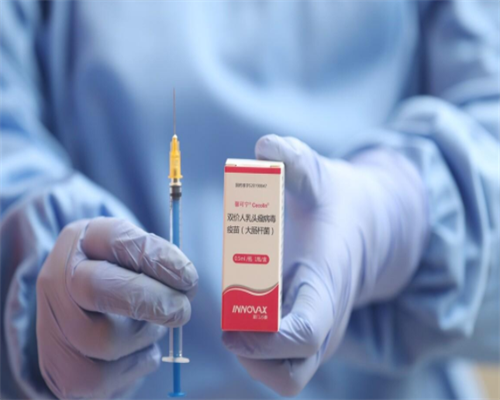 正规供卵机构与代孕服务选择指南