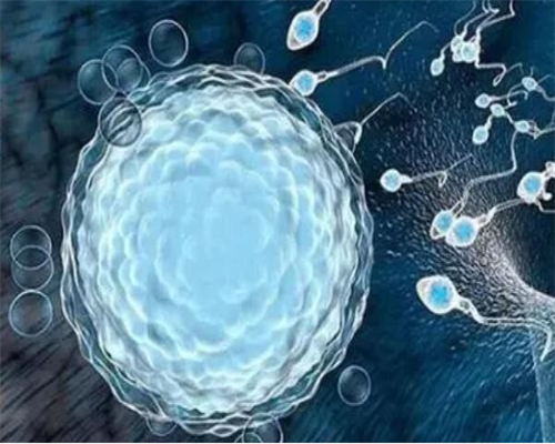 杭州借卵试管助孕机构选择指南与长沙靠谱供卵服务解析