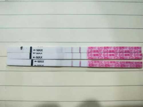 广州助孕婴儿痱子粉使用指南与选购技巧