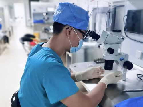 浙江第三代试管婴儿医院选择指南：嘉兴妇保与杭州邵逸夫对比