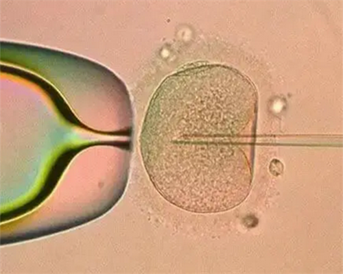 代怀在线咨询平台选择与注意事项