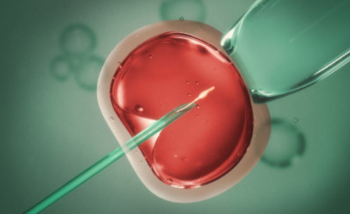 赴泰试管婴儿成长激素应用时机与安全性解析