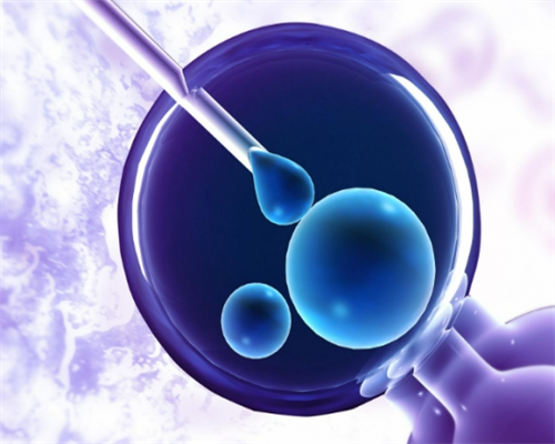 上海供卵试管费用与私立医院选择指南