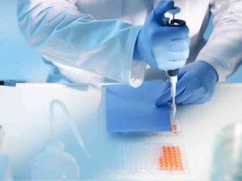 精子碎片率检查与试管婴儿助孕指南