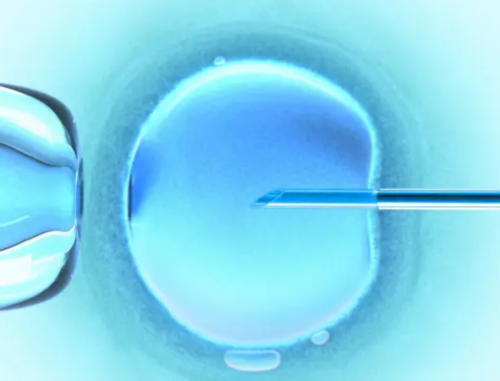 婴儿绿色便便原因与处理指南