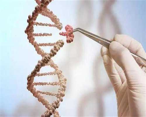 杭州邵逸夫医院在浙江试管助孕领域的优势与排名解析