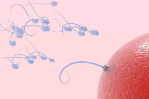 梧州找代孕qq群 梧州工人医院人工授精多少钱?做人工授精怀孕可靠吗? ‘杭