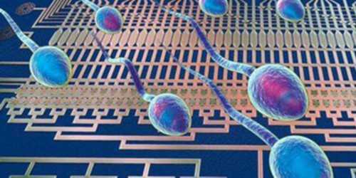 2026浙江供卵试管医院费用与代生服务指南