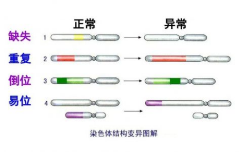 2026北京供卵包男孩机构选择指南与私立医院推荐