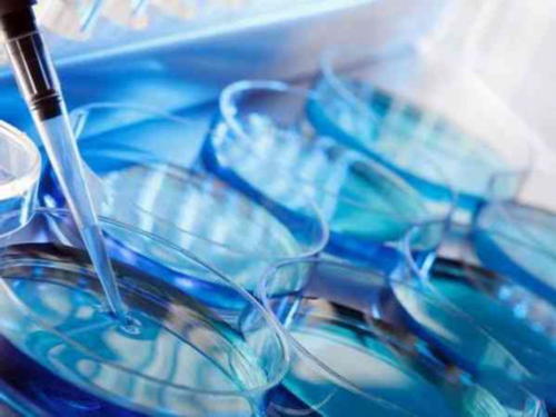 杭州正规代生中介解析2026年香港大学深圳医院试管婴儿费用及代怀借卵服务