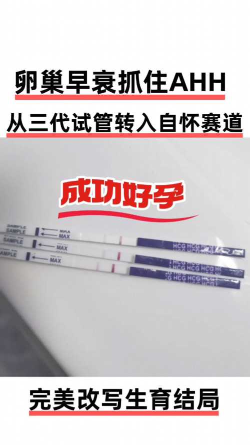 杭州邵逸夫与省妇保试管婴儿成功率对比及流程解析