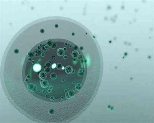 代生双胞胎胚胎移植后需要长期卧床休息吗