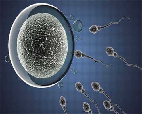 试管婴儿医院选择与费用解析：浙江地区专业指南