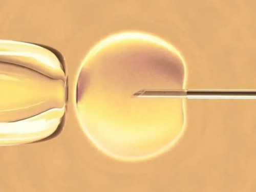 试管代生技术哪家医院好及辅助生殖项目详解