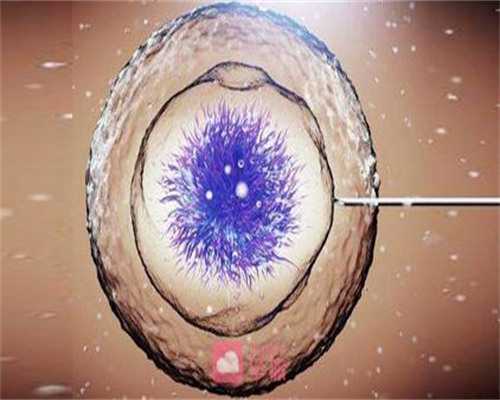 2026年深圳北大医院试管婴儿费用及三代供卵价格解析