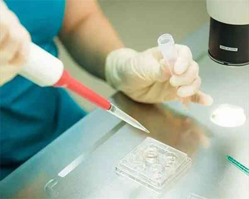 男性不育症成因解析与预防指南