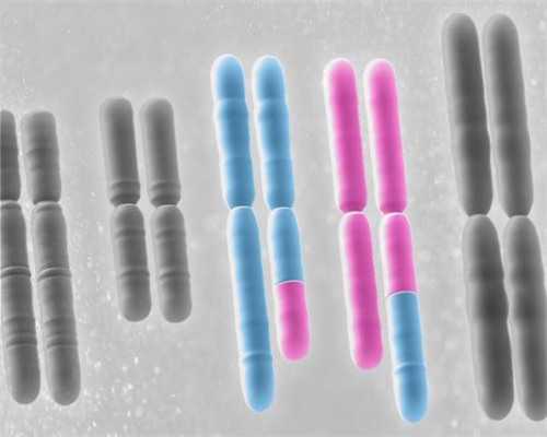 浙江试管婴儿医院选择指南：省妇保与市妇保对比分析