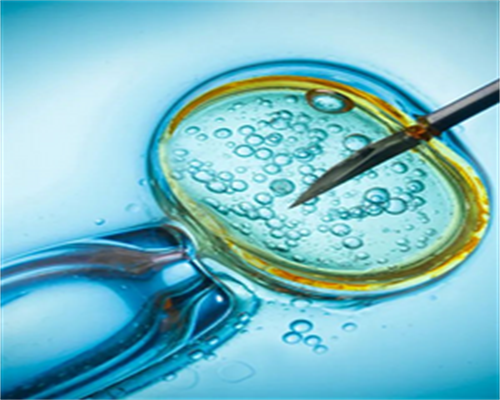 冻胚移植后雌二醇水平对胚胎着床的影响分析