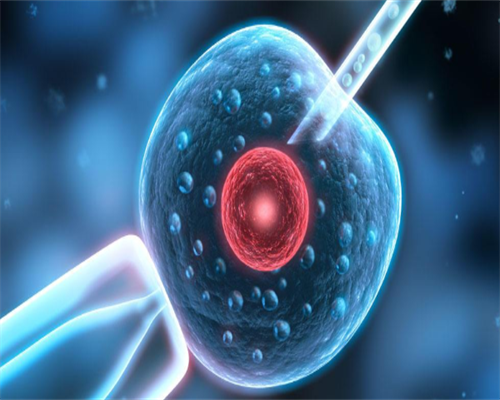 正规助孕机构供卵试管选择指南与超高龄成功率分析