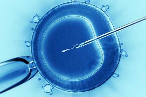 代生孩子服务成功率最高的医院排名参考指南