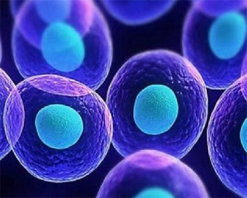 杭州供卵代生医院推荐与试管流程详解，助您实现代怀梦想