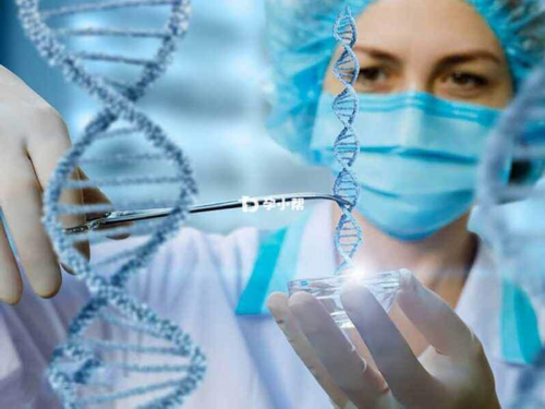 珠海三代试管技术成功实现男孩生育，助孕新突破解析