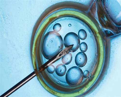 2026年重庆公立医院试管助孕成功率与机构选择指南