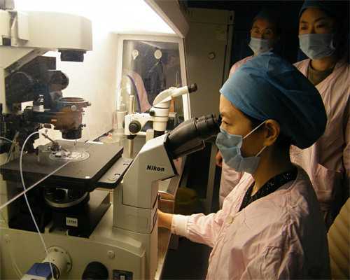 杭州试管助孕医院选择指南与供卵代怀费用解析