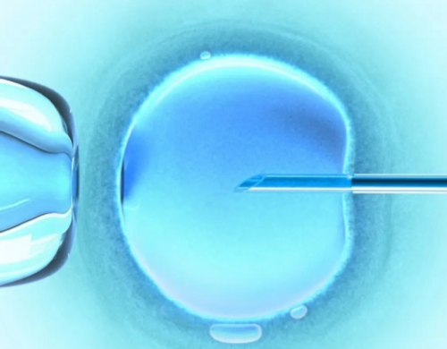 2026浙江第三代试管婴儿医院选择:嘉兴妇保院与邵逸夫对比指南