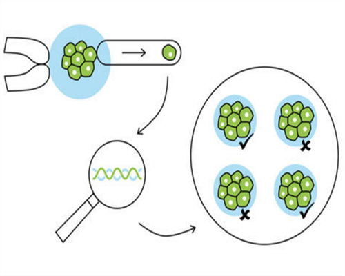 杭州代怀机构与杭州市妇幼保健院生殖医学中心专业服务解析