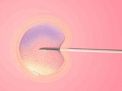 校园食品安全事件引发关注：食堂外包问题与官方调查进展