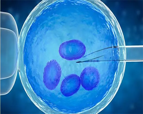 杭州供卵试管医院排名与成功率提升策略解析