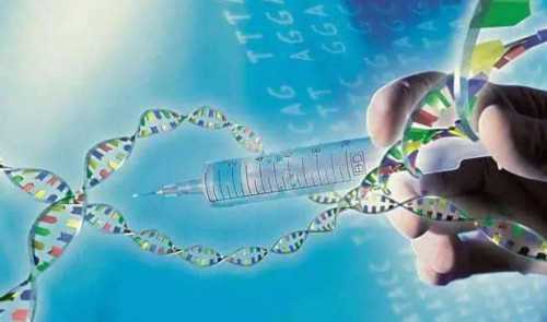 2026杭州红十字会医院供精试管婴儿服务解析与浙江助孕指南