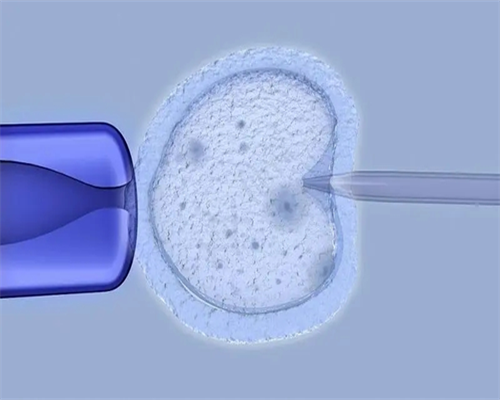 杭州同性代生小孩指南：试管婴儿医院选择与实力解析