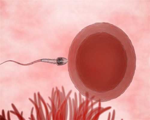 正规医院供卵与试管婴儿费用解析