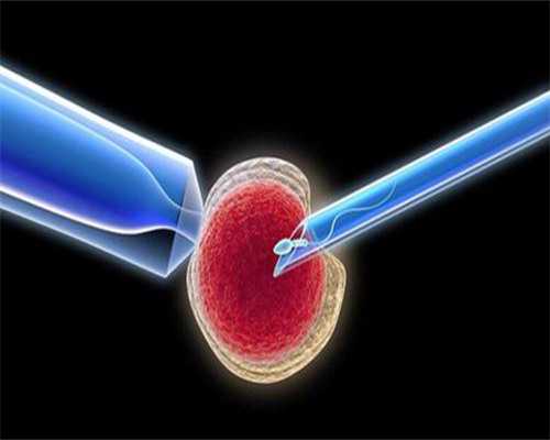 杭州试管婴儿成功率与费用解析:助孕机构选择指南