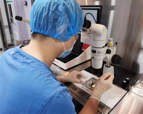 浙江供卵试管机构选择指南与医生推荐