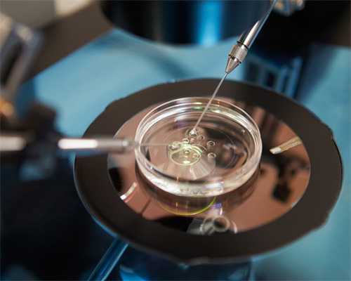 三代试管婴儿技术优势与成功率解析