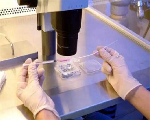 试管婴儿预产期计算指南与助孕知识分享