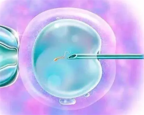 国内优秀助孕机构权威认证:十大机构助力生育梦想