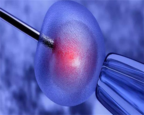 杭州供精试管费用与流程解析,代怀借卵费用及代生电话咨询指南