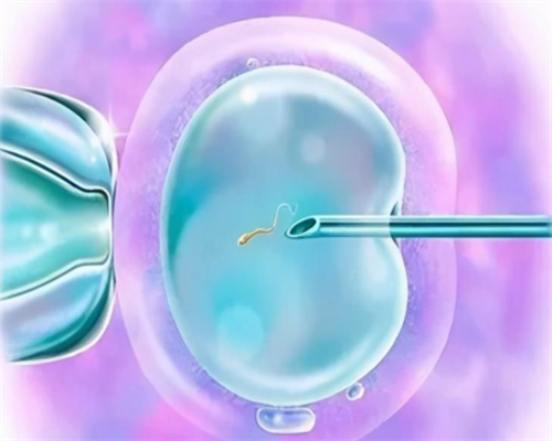 2026浙江代怀费用解析：嘉兴妇保与杭州邵逸夫三代试管选择指南