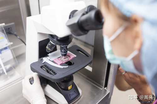 专业供卵代孕公司对比及试管流程详解