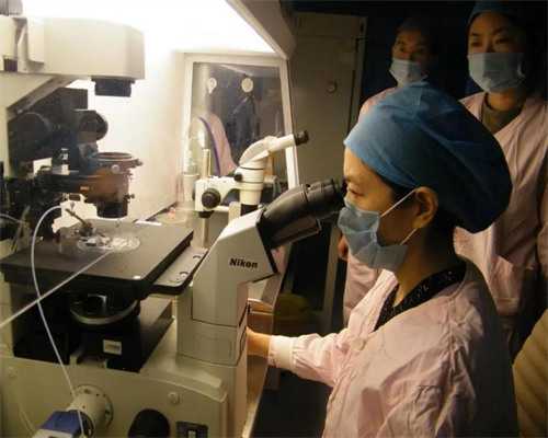 2026杭州试管婴儿费用解析与代孕公司选择指南