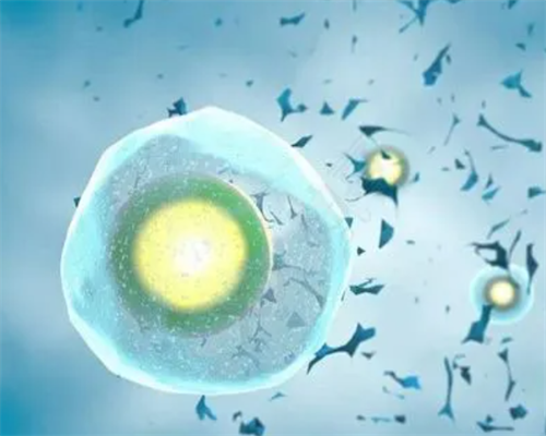 专业代生宝宝与试管成功率解析,助您选择最佳代生机构