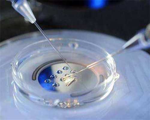 2026浙江第三代试管婴儿医院选择指南:嘉兴妇保院与邵逸夫对比