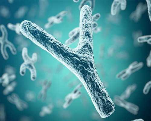 2026年最佳试管婴儿医院推荐及代怀服务指南