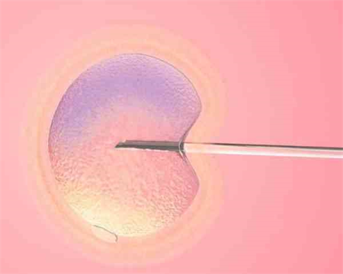 冷冻卵子费用与条件详解及助孕选择