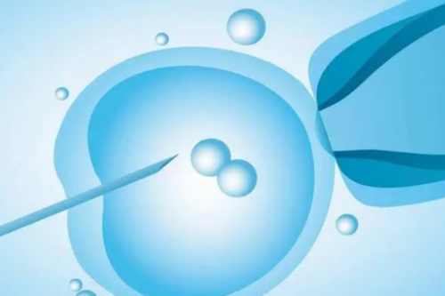 浙江试管医院选择指南：嘉兴妇保院与邵逸夫医院对比分析