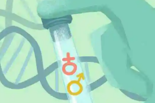 供卵试管婴儿费用解析与成功关键因素